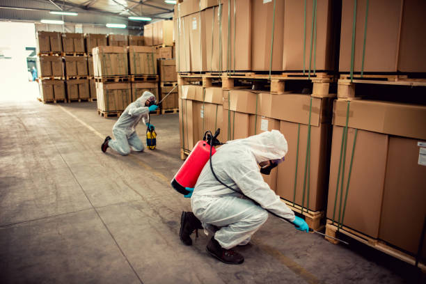 Best Ant Control Services  in Berkeley, MO