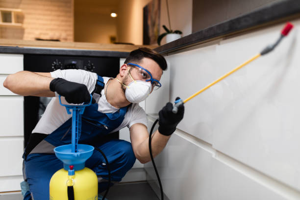 Best Mosquito Control Services  in Berkeley, MO