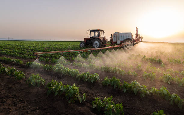 Best Pest Prevention Services  in Berkeley, MO