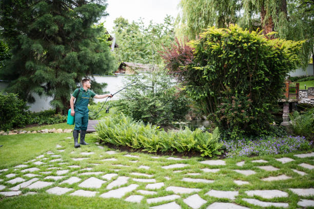 Best Affordable Pest Control Services  in Berkeley, MO