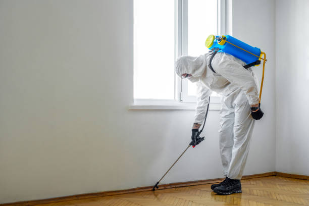 Best Wasp Removal Services  in Berkeley, MO
