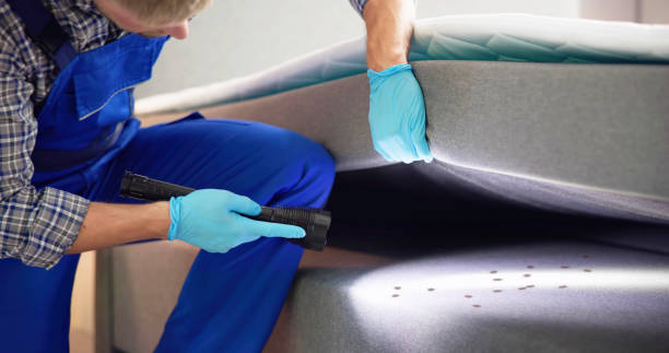 Best Pest Control Near Me  in Berkeley, MO