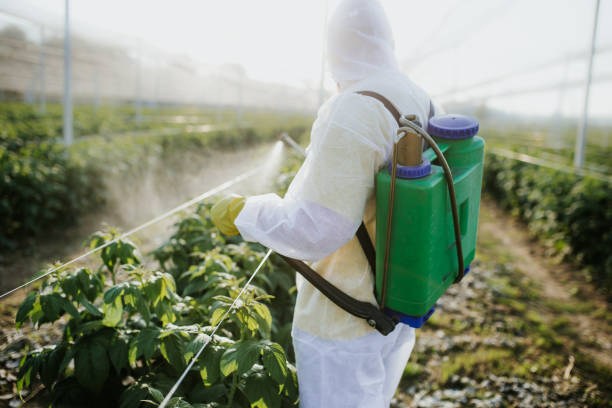 Best Affordable Pest Control Services  in Berkeley, MO